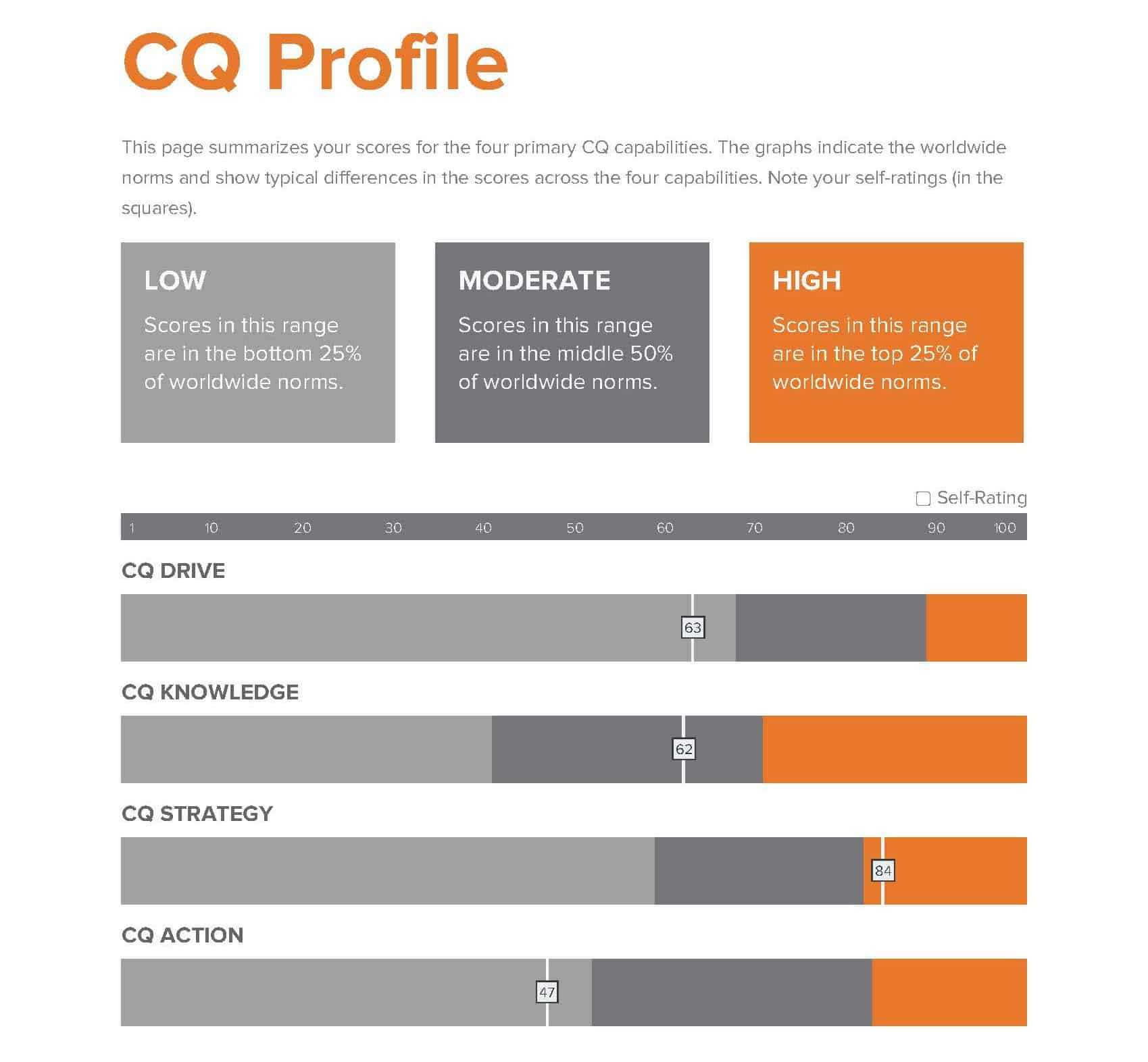 Cultural Intelligence - Working Confidently in Different Cultures