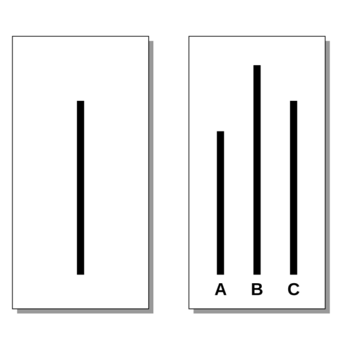 Two boxes. The first box shows a single black line. The second block contains three black lines different in length labeled A, B, and C. The line in the first box matches line C in the second box.
